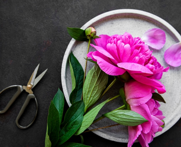 Frische rosa Pfingstrosenblumen auf einer Betonplatte mit Kopienraum auf schwarzem Hintergrund, flache Lage.