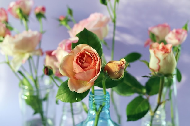 Frische rosa Rosen in transparenten Glasvasen Blumen für romantische Grüße alles Gute zum Geburtstag