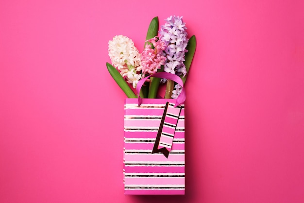 Frische rosa, weiße, violette Hyazinthenblumen in der Einkaufstasche auf schlagkräftigem Pastellhintergrund.