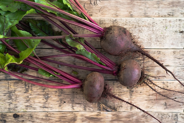 Frische Rote Beete auf Holzbrettern