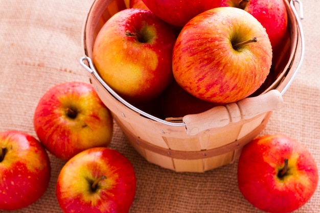 Frische rote Bio-Äpfel vom lokalen Bauernmarkt.