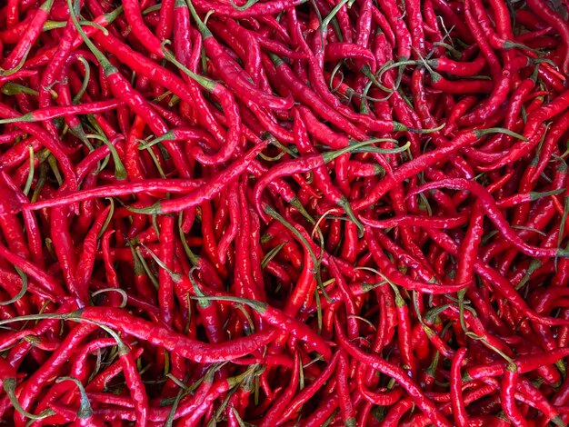 Foto frische rote chili auf dem markt