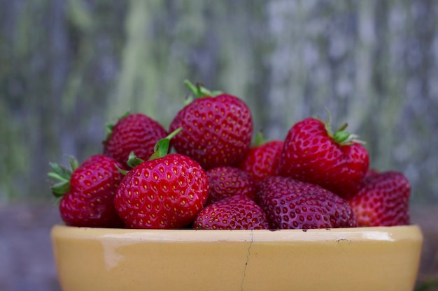 Frische rote Erdbeeren in einer gebrochenen Keramikschale mit altem Holzhintergrund Süße Bio-Beeren