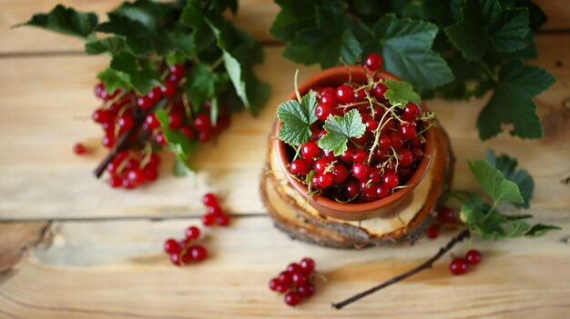 Frische rote Johannisbeeren mit Blättern auf einem hölzernen Hintergrund