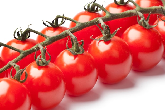 Frische rote Mini-Kirschtomaten an einer Rebe auf weißem Hintergrund aus nächster Nähe