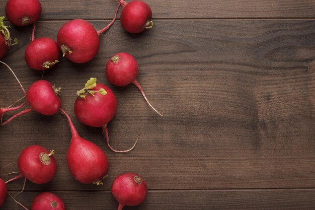 Foto frische rote radieschen