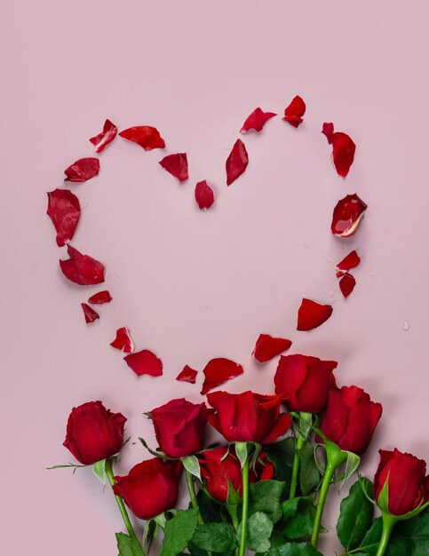 Frische rote Rosen isoliert rosa Hintergrund Valentine39s Tag Konzept Liebesthema Kopieren Sie Platz