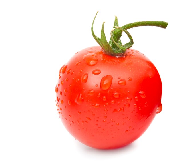 Frische rote Tomate mit Wassertropfen