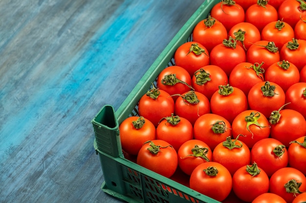 Frische rote Tomaten mit Textraum