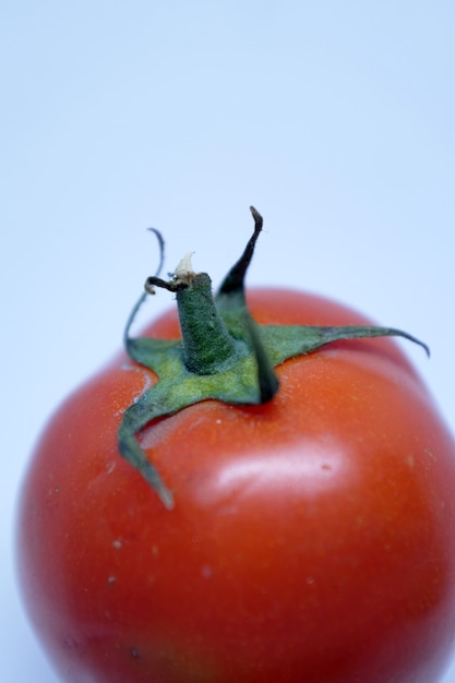 Frische rote Tomaten voller Vitamine