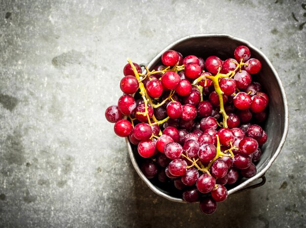 Frische rote Trauben.