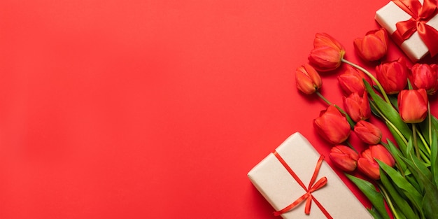 Frische rote Tulpen mit Geschenkbox auf Rot