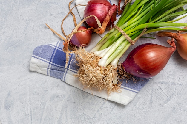 Frische rote und weiße Zwiebeln auf grauem Hintergrund