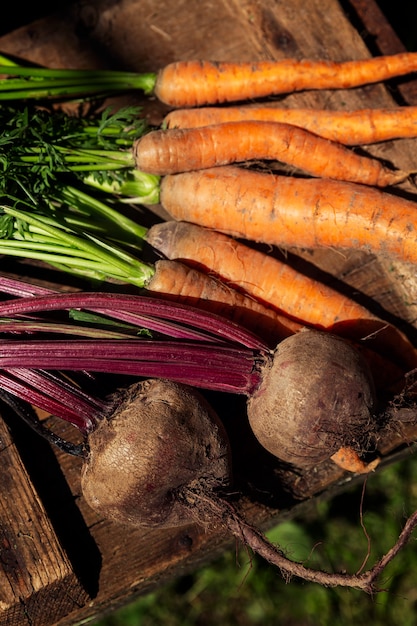 Frische Rüben und Karotten mit Spitzen auf einem Holztisch im Garten an einem sonnigen Tag. Neue Ernte von Saisongemüse. Vitamine und Gesundheit aus der Natur. Nahaufnahme.