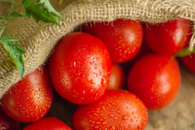 Frische saftige Bio-Tomaten in Sackleinen Tomaten auf Holztisch