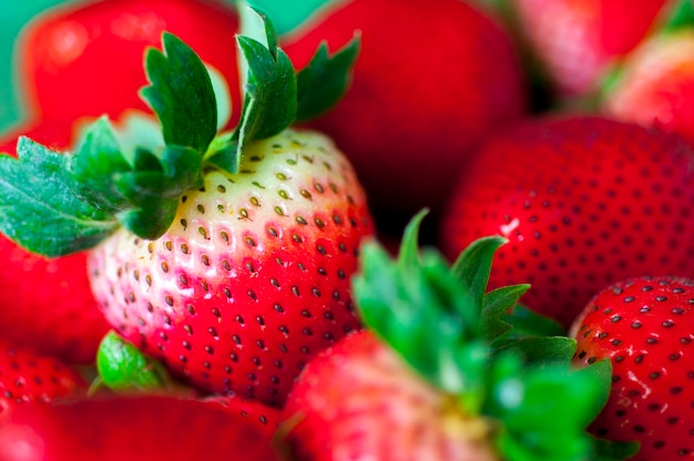 Frische saftige Erdbeerfrucht der Nahaufnahme