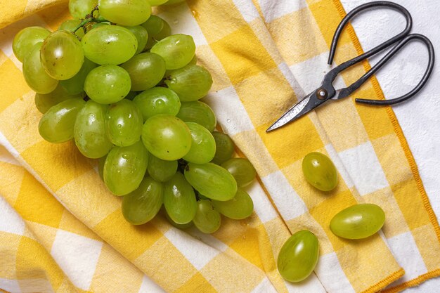 Frische saisonale Trauben mit Schere auf karierter Tischdecke