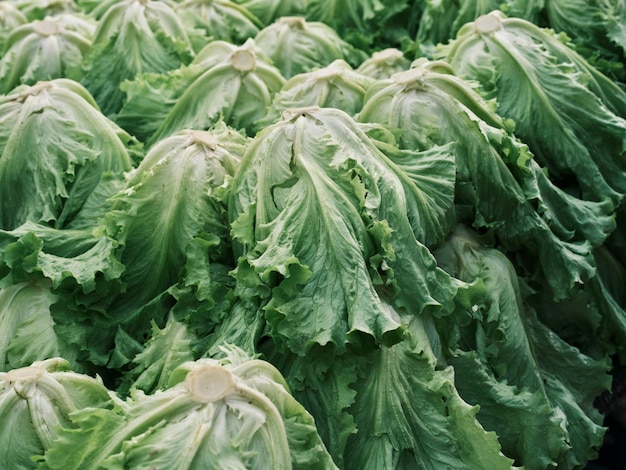 Frische Salate auf dem Markt