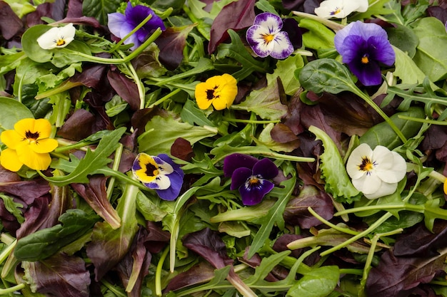 Frische Salatmischung mit essbaren Blumen Draufsicht