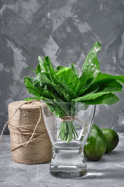 Frische Sauerampferblätter in einer Glasvase mit Wasser, Bio-Produkten für den Laden, Öko-Verpackung, Lebensmittellieferung