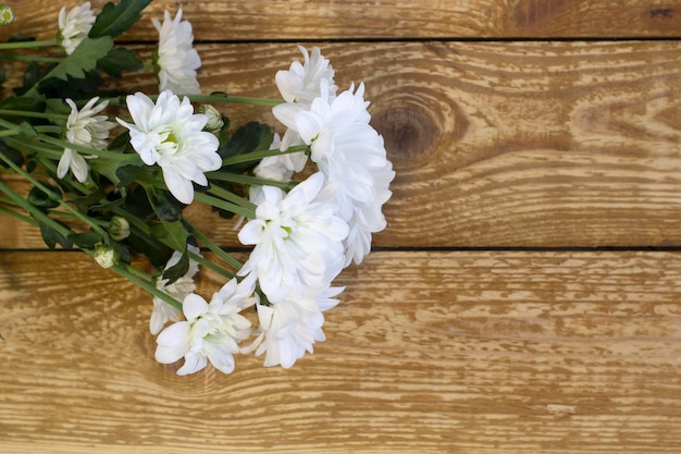 Frische schöne weiße Gerbera-Blumenpodeste auf dunklem Holzhintergrund schließen oben mit Kopienraum