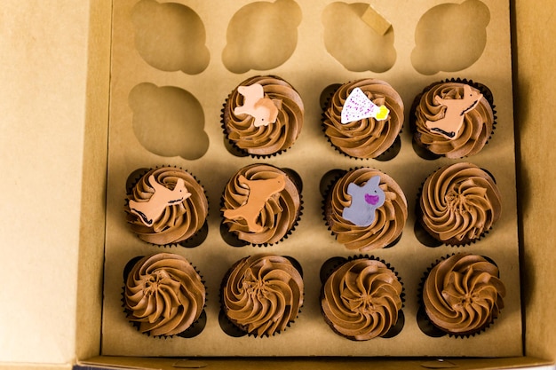 Frische Schokoladen-Cupcakes in der Box.