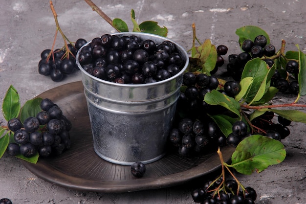 Frische schwarze Aroniabeeren auf einer Tonplatte. Schwarze Aronia