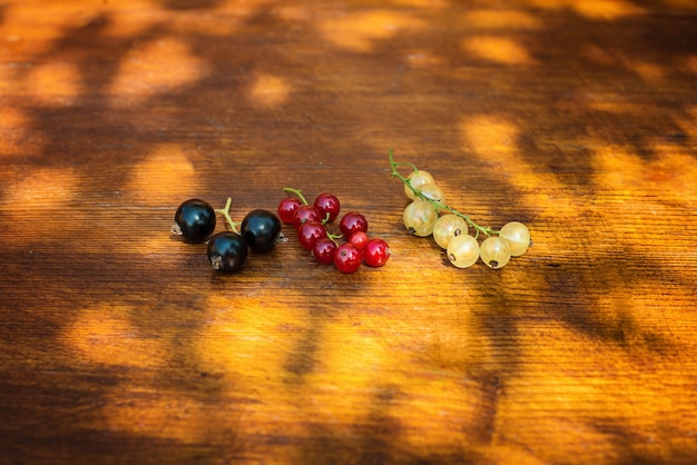 Frische schwarze und weiße Johannisbeerbeeren der roten Johannisbeere auf sonnigem Holzhintergrund