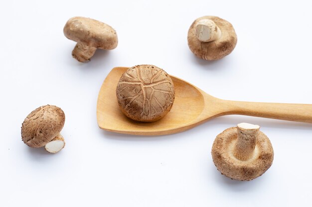 Frische Shiitake-Pilze auf weißer Oberfläche