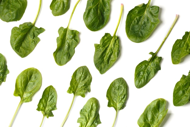 Frische Spinatblätter isoliert auf weißem Hintergrund, flache Draufsicht, Hintergrund aus grünen Spinatblättern. Das Konzept der richtigen Ernährung gesunder Produkte