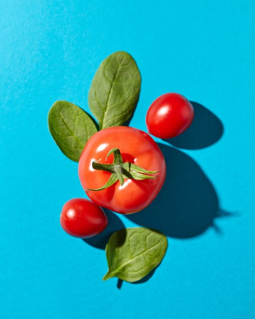 Frische Spinatblätter und saftige reife Tomaten auf einem Blau mit harten Schatten und Kopierraum. Bio-Gemüse für Salat. Flach liegen