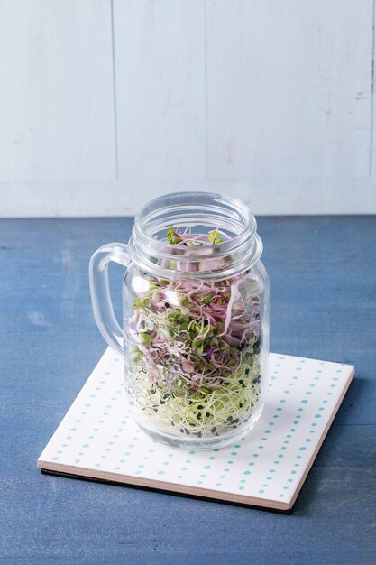 Frische Sprossen im Einmachglas