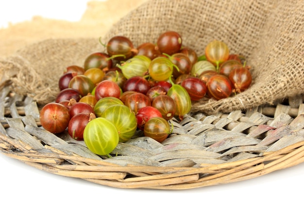 Frische Stachelbeeren auf Weidenmattennahaufnahme