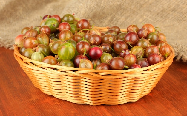 Frische Stachelbeeren im Weidenkorb auf Tischnahaufnahme