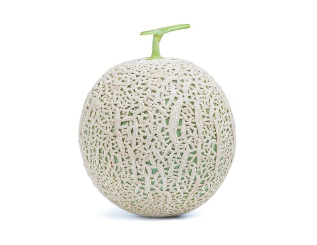 Frische süße grüne Melone auf weißem Hintergrund