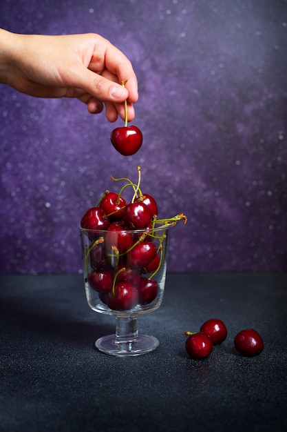 Frische süße Kirsche in einem Glas auf einem lila Hintergrund. Weibliche Hand nimmt eine Kirsche von einem Glas. Beeren auf einem dunklen Hintergrund. Vorderansicht. Vertikale. Speicherplatz kopieren