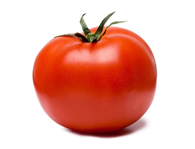 Frische Tomate auf Weiß