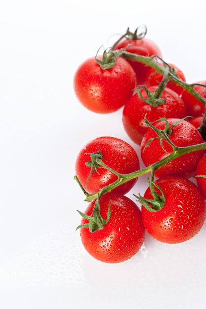 Frische Tomate getrennt auf weißem Hintergrund