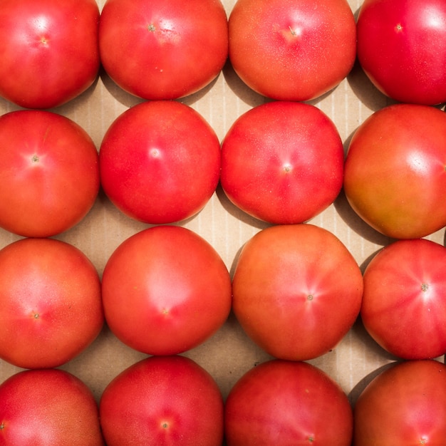 Frische Tomate in Box. Konzeptideen für Bio-Obstprodukte