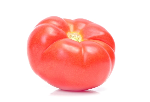 Frische Tomate