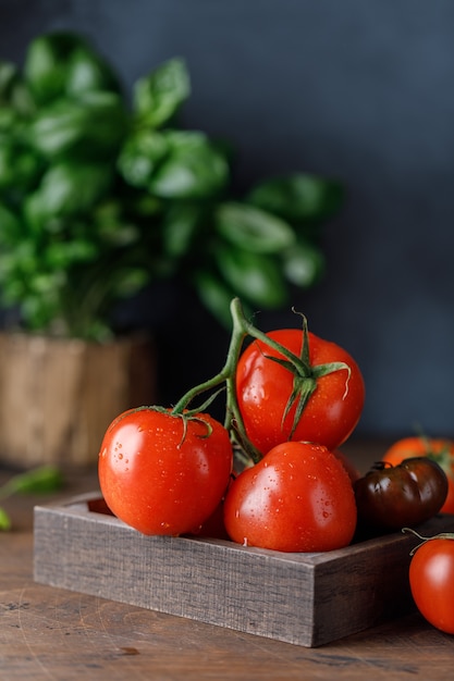 Frische Tomaten auf einem Holztisch