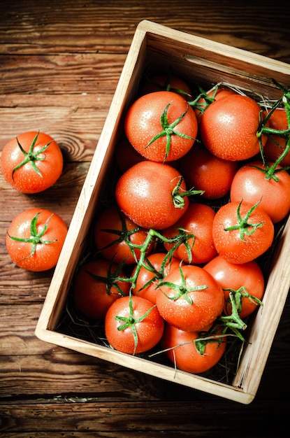 Frische Tomaten auf einem Holztisch.