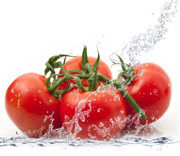 Frische Tomaten, die in Wasser fallen