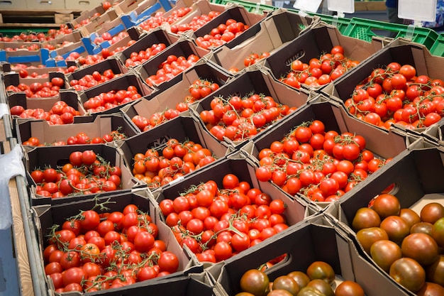 Frische Tomaten in einer Kiste auf der Theke im Supermarkt