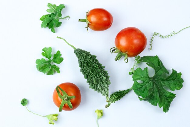 Frische Tomaten mit Blättern und Gemüse