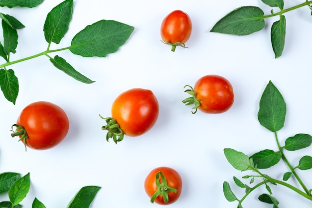 Frische Tomaten mit Blättern und Gemüse