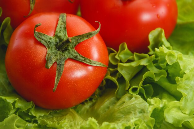 Frische Tomaten und Salat, Gemüse. Gesundheitspflege Essen