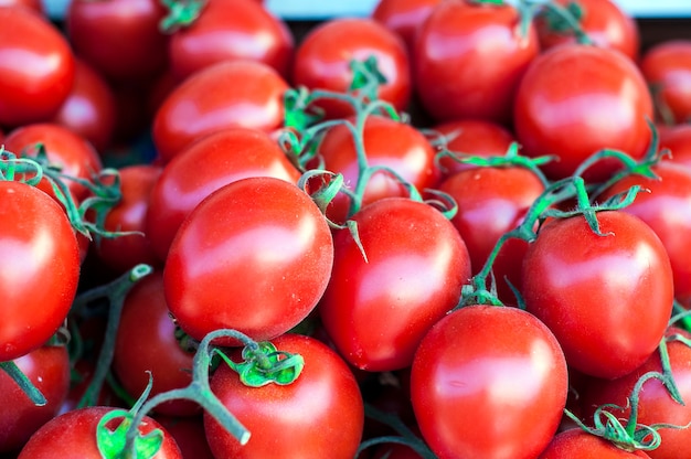 Frische tomaten