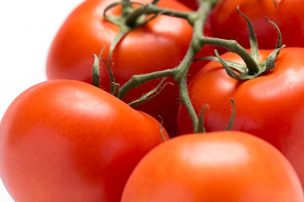 Frische tomaten