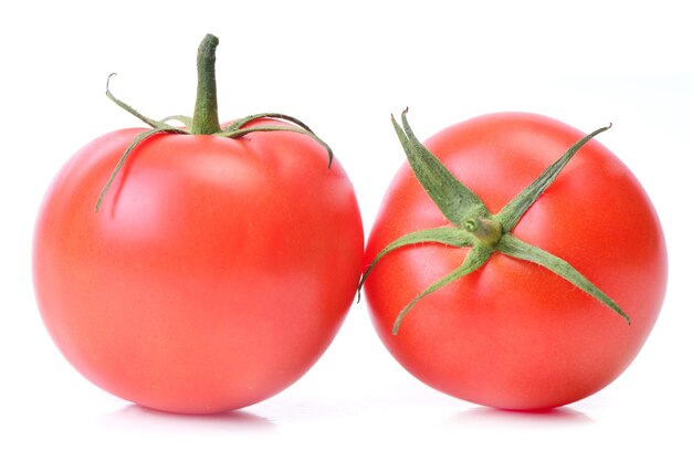 Frische Tomaten